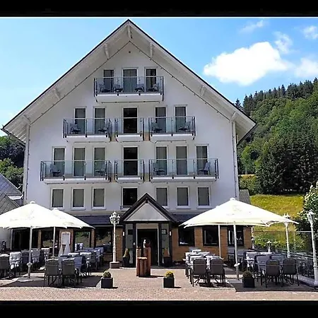 Smart B&b1 Bb1 113 Winterberg